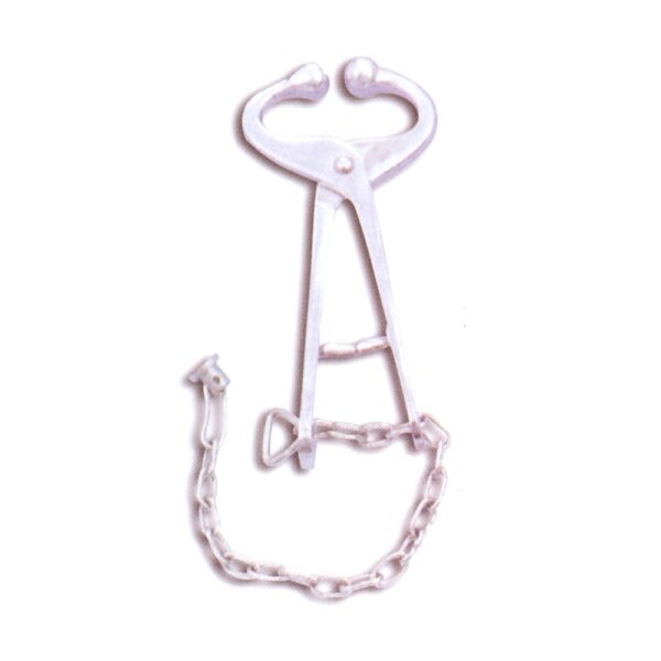 Bull Holder With Side Chain