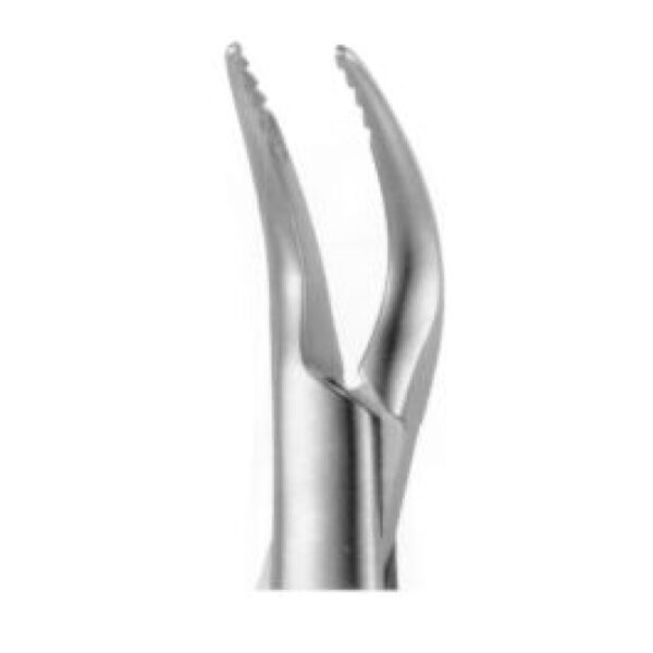 Implantology Forceps